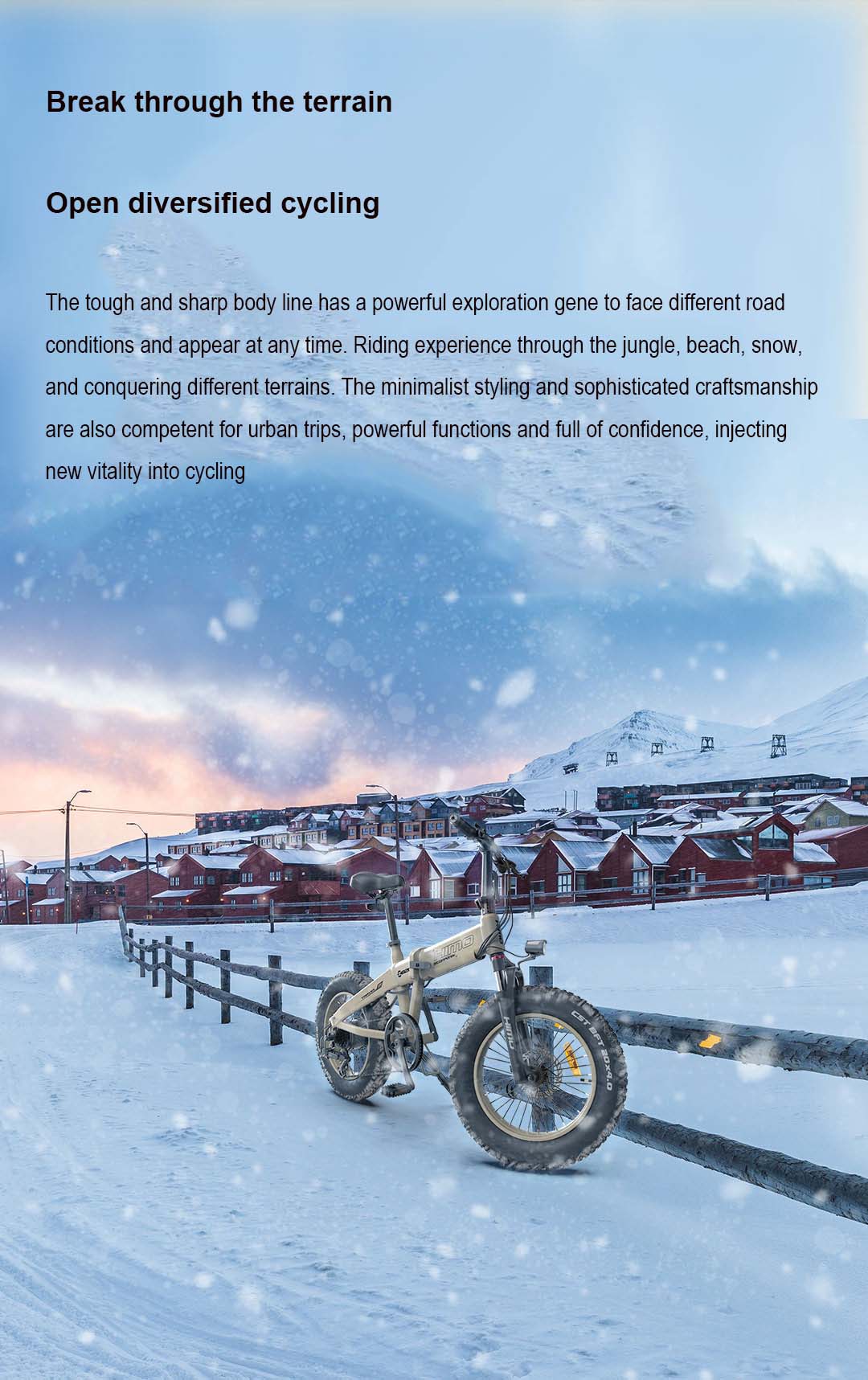 HIMO ZB20 Fat Tyre Folding Electric Bike