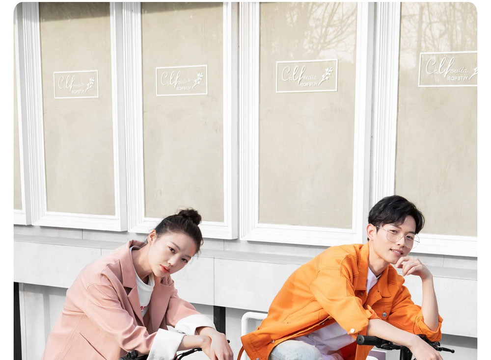 Himo Z16 Folding Electric Bike