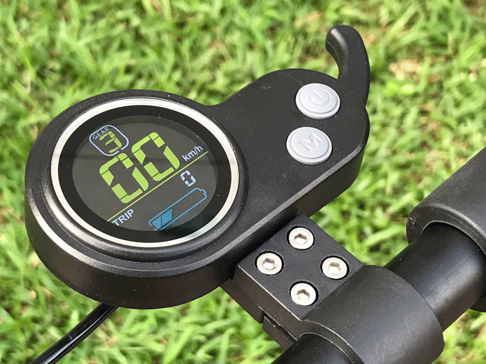 Above: Compact body size